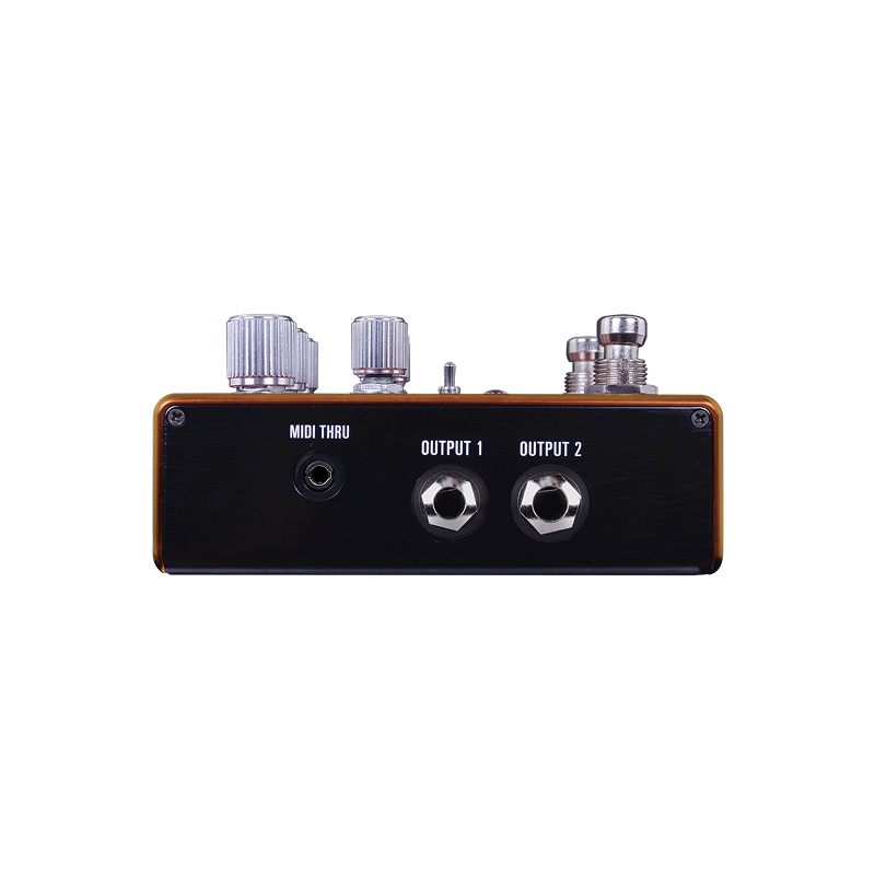 Pathways Reverb & Tremolo