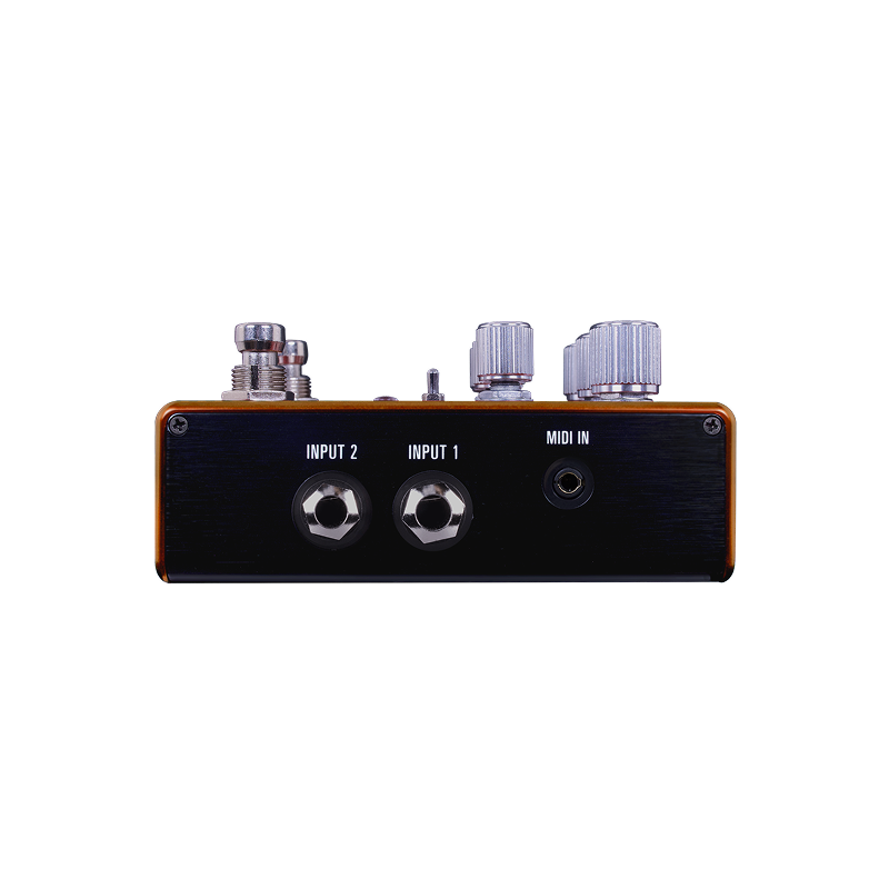 Pathways Reverb & Tremolo