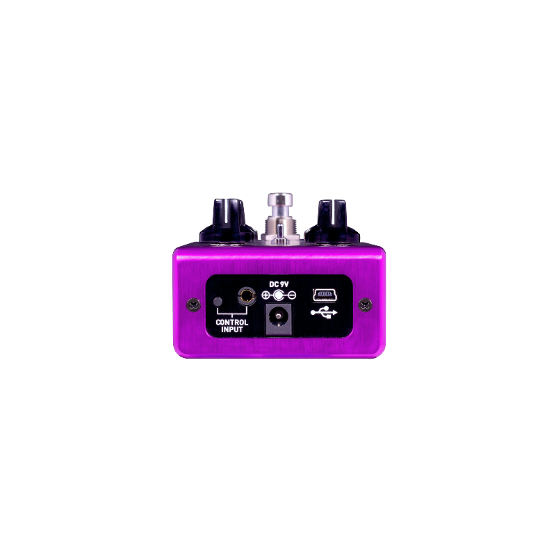 Kingmaker Fuzz